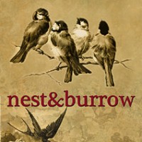 Nest & Burrow – Graphic Design